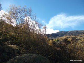 llone monte Zappinazzo-04-11-2012 10-07-06